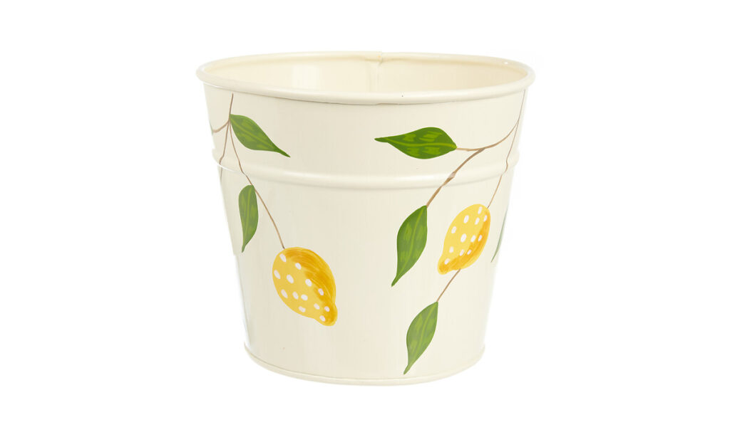 Cache-pot citron