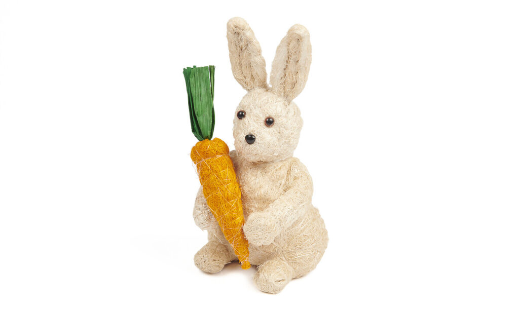 Lapin et carotte en coco